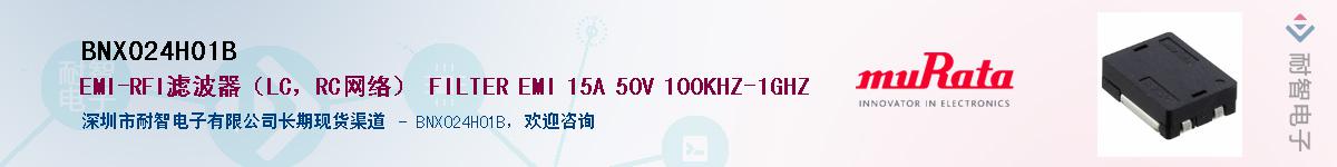BNX024H01BӦ-ǵ
