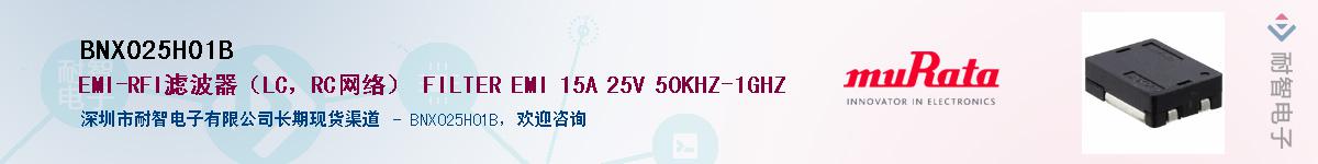 BNX025H01BӦ-ǵ