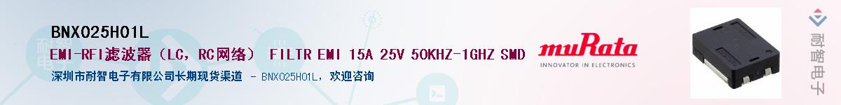 BNX025H01L��Ӧ��-���ǵ���