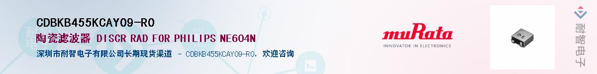CDBKB455KCAY09-R0Ӧ-ǵ