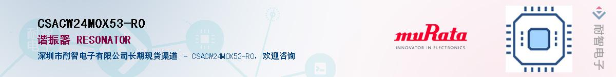 CSACW24M0X53-R0Ӧ-ǵ