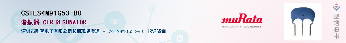 CSTLS4M91G53-B0供应商-耐智电子