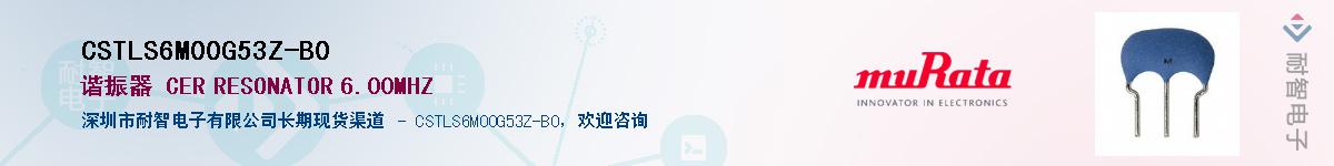 CSTLS6M00G53Z-B0��Ӧ��-���ǵ���