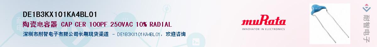 DE1B3KX101KA4BL01Ӧ-ǵ