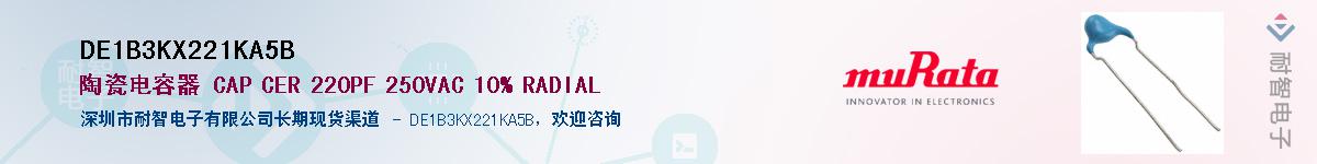 DE1B3KX221KA5BӦ-ǵ