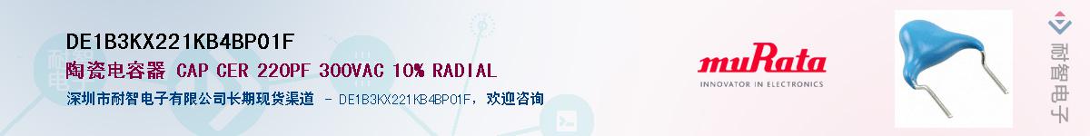 DE1B3KX221KB4BP01FӦ-ǵ