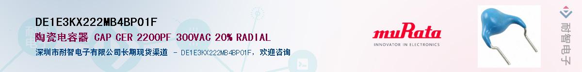 DE1E3KX222MB4BP01FӦ-ǵ