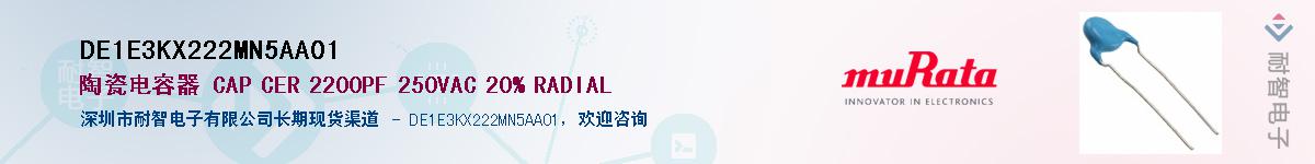 DE1E3KX222MN5AA01Ӧ-ǵ