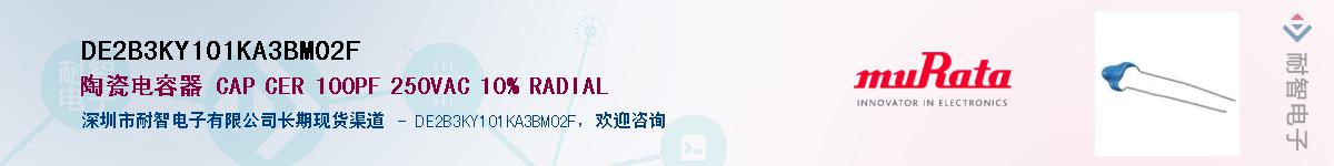 DE2B3KY101KA3BM02FӦ-ǵ