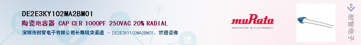 DE2E3KY102MA2BM01Ӧ-ǵ