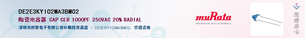 DE2E3KY102MA3BM02Ӧ-ǵ