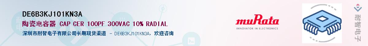 DE6B3KJ101KN3AӦ-ǵ
