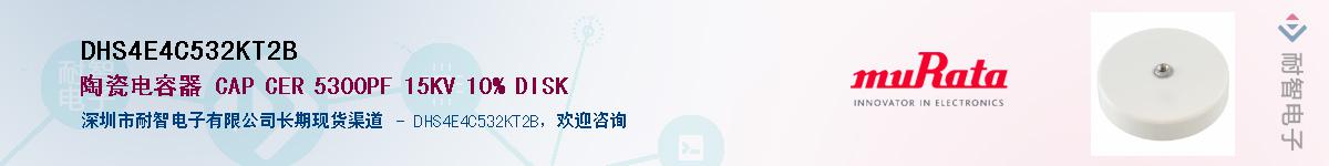 DHS4E4C532KT2B��Ӧ��-���ǵ���