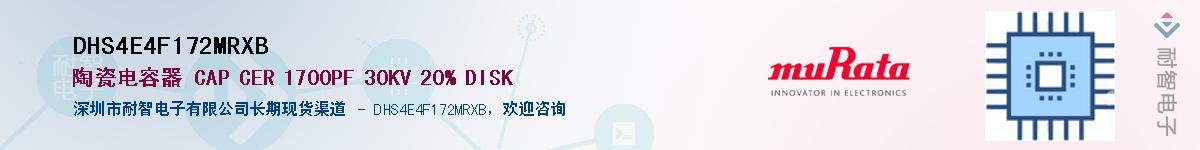 DHS4E4F172MRXBӦ-ǵ