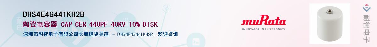 DHS4E4G441KH2B��Ӧ��-���ǵ���