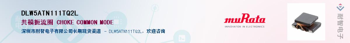 DLW5ATN111TQ2LӦ-ǵ