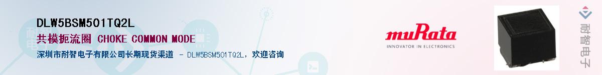 DLW5BSM501TQ2L��Ӧ��-���ǵ���