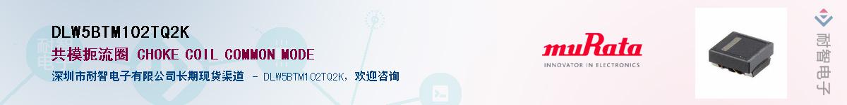DLW5BTM102TQ2KӦ-ǵ
