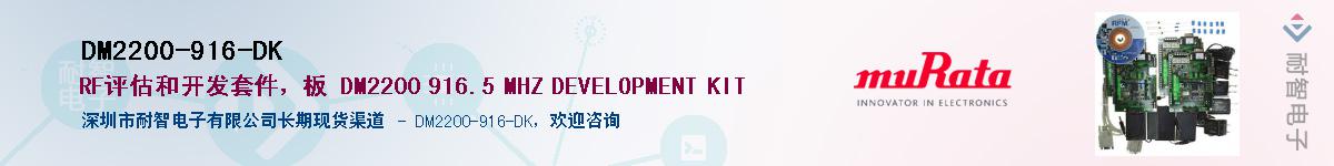 DM2200-916-DKӦ-ǵ