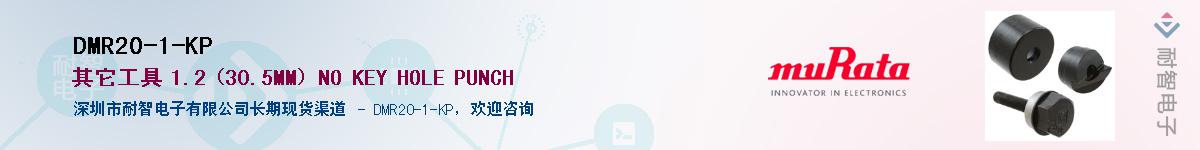 DMR20-1-KP��Ӧ��-���ǵ���
