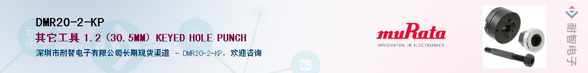 DMR20-2-KP��Ӧ��-���ǵ���