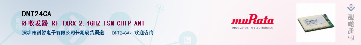 DNT24CAӦ-ǵ