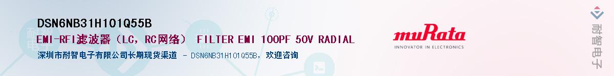 DSN6NB31H101Q55BӦ-ǵ