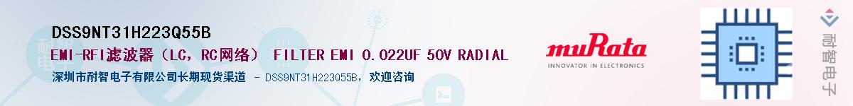 DSS9NT31H223Q55BӦ-ǵ