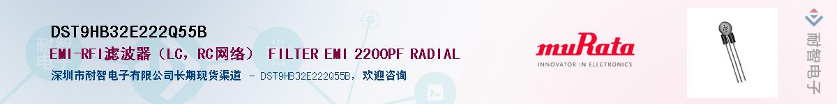DST9HB32E222Q55B��Ӧ��-���ǵ���
