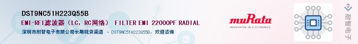 DST9NC51H223Q55BӦ-ǵ