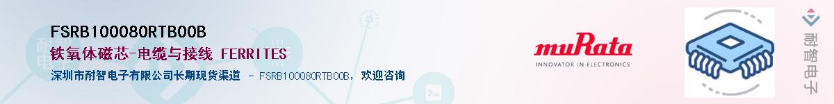 FSRB100080RTB00BӦ-ǵ