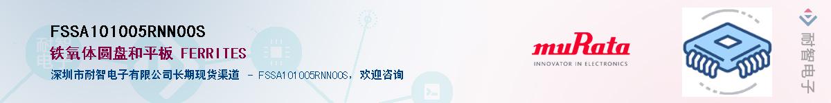 FSSA101005RNN00SӦ-ǵ