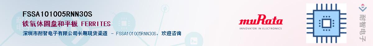 FSSA101005RNN30SӦ-ǵ