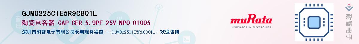 GJM0225C1E5R9CB01L��Ӧ��-���ǵ���