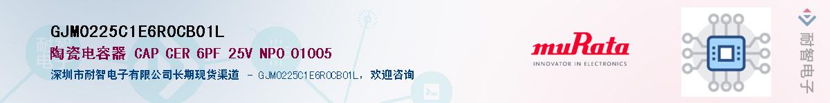GJM0225C1E6R0CB01L��Ӧ��-���ǵ���