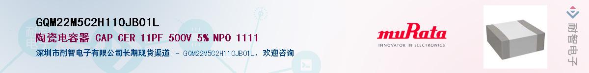 GQM22M5C2H110JB01L供应商-耐智电子