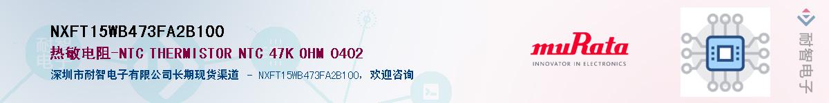 NXFT15WB473FA2B100Ӧ-ǵ