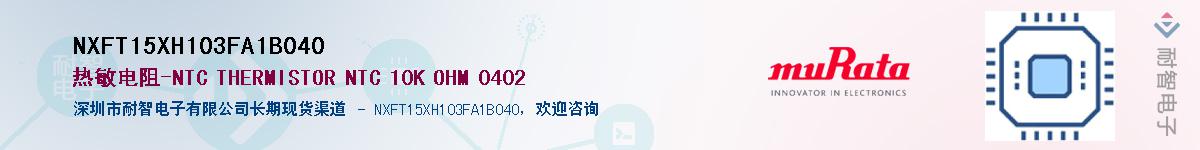 NXFT15XH103FA1B040��Ӧ��-���ǵ���
