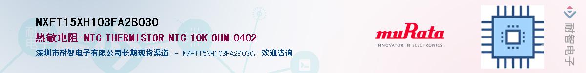 NXFT15XH103FA2B030Ӧ-ǵ