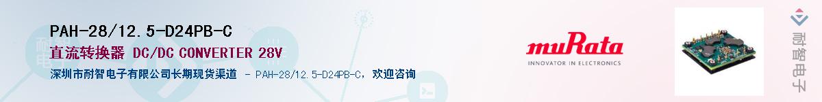 PAH-28/12.5-D24PB-CӦ-ǵ