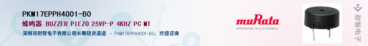 PKM17EPPH4001-B0Ӧ-ǵ