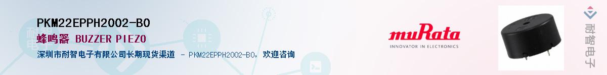 PKM22EPPH2002-B0Ӧ-ǵ