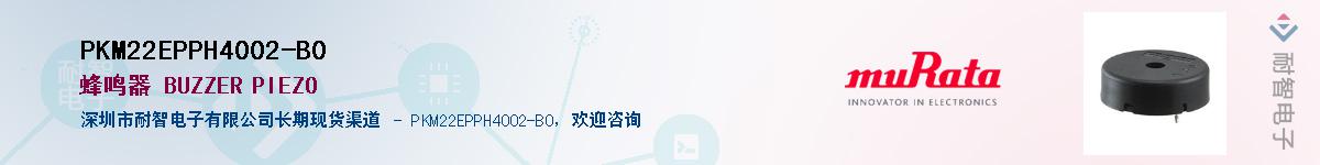 PKM22EPPH4002-B0Ӧ-ǵ