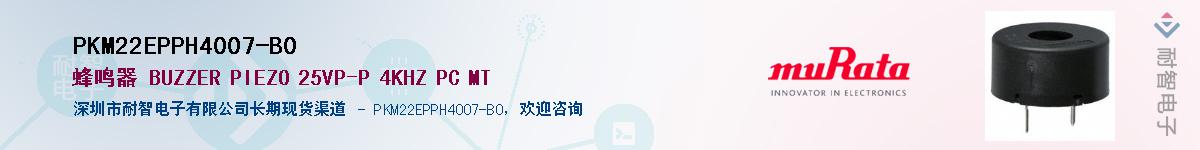 PKM22EPPH4007-B0Ӧ-ǵ