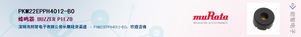 PKM22EPPH4012-B0Ӧ-ǵ