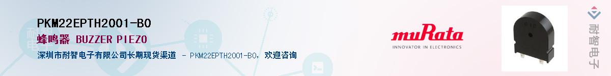 PKM22EPTH2001-B0Ӧ-ǵ