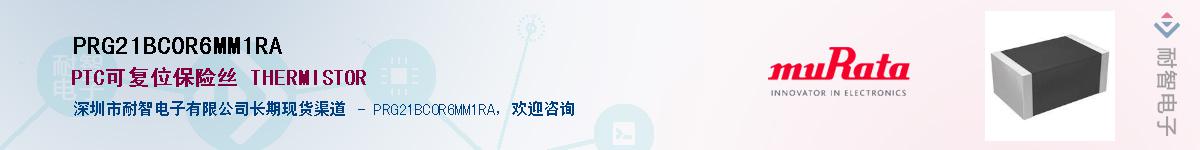 PRG21BC0R6MM1RAӦ-ǵ