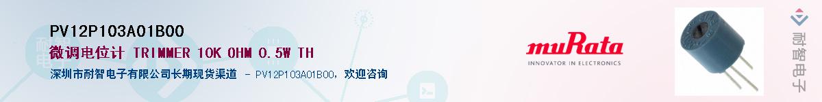 PV12P103A01B00Ӧ-ǵ