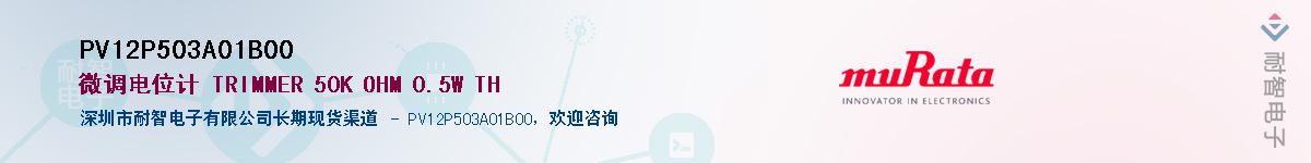 PV12P503A01B00��Ӧ��-���ǵ���