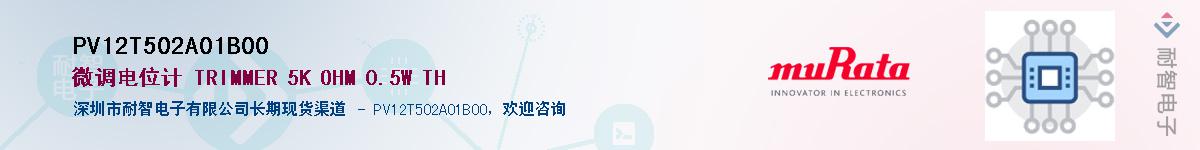 PV12T502A01B00��Ӧ��-���ǵ���